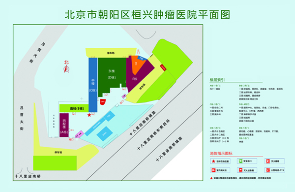 白丝发频深夜爱看北京市朝阳区桓兴肿瘤医院平面图